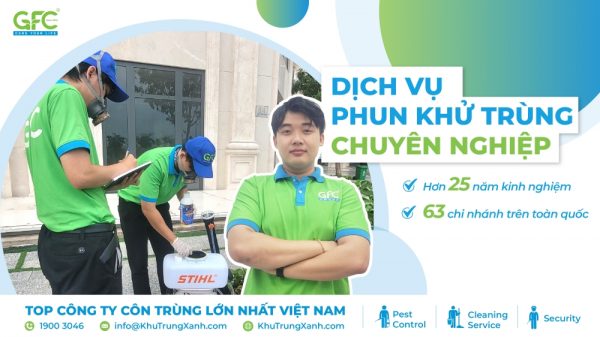 Dịch vụ khử trùng diệt khuẩn an toàn, giá rẻ