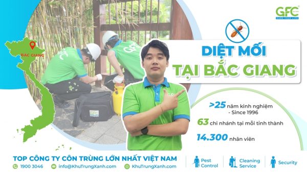 5 địa chỉ diệt mối tận gốc tại Bắc Giang uy tín nhất