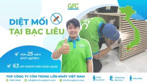 4 địa chỉ diệt mối tại Bạc Liêu uy tín, tận gốc
