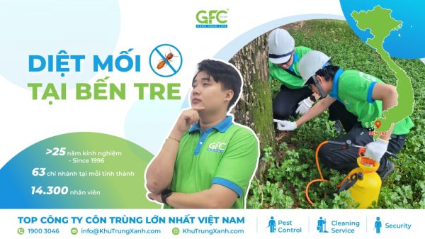 Bảng giá dịch vụ diệt mối tại Bến Tre mới nhất 2025