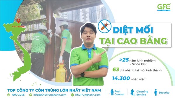4 địa chỉ diệt mối Cao Bằng tận gốc, chất lượng