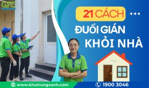 13 cách diệt gián, đuổi gián ra khỏi nhà hiệu quả nhất 2025