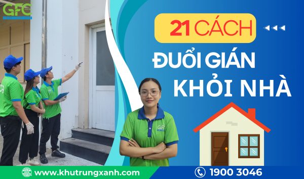 13 cách diệt gián, đuổi gián ra khỏi nhà hiệu quả nhất 2025