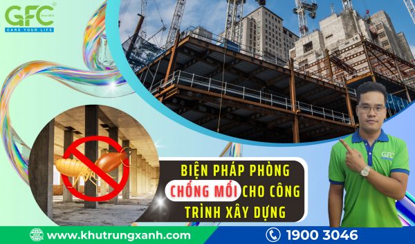 5 biện pháp thi công phòng chống mối cho công trình theo quy định quốc gia 2025