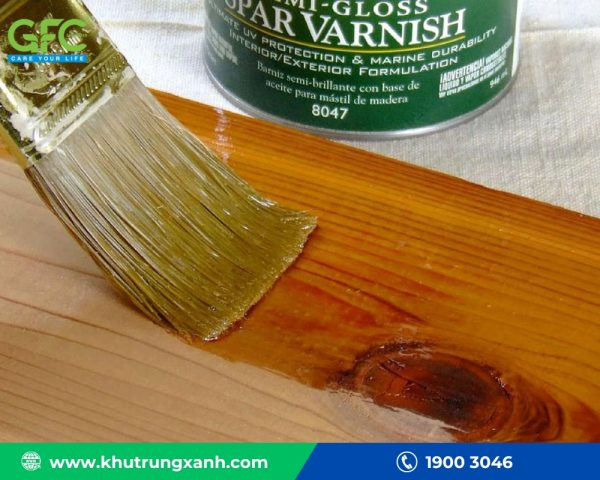 10+ Cách bảo quản gỗ không bị mối mọt hiệu quả nhất