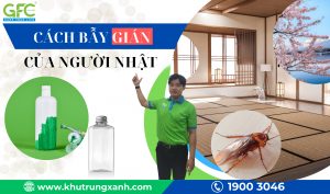 Cách bẫy gián của người Nhật đơn giản và hiệu quả nhất