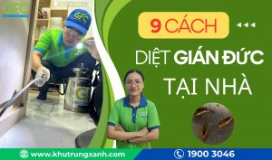 9+ Cách diệt gián Đức đơn giản, hiệu quả tại nhà