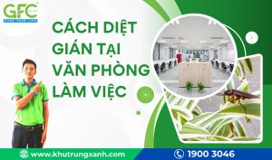 Cách diệt gián tại văn phòng làm việc