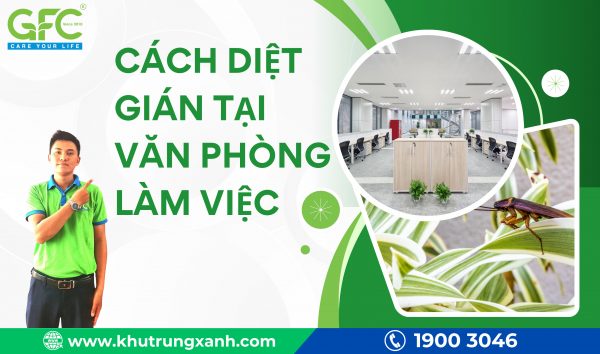 Cách diệt gián tại văn phòng làm việc