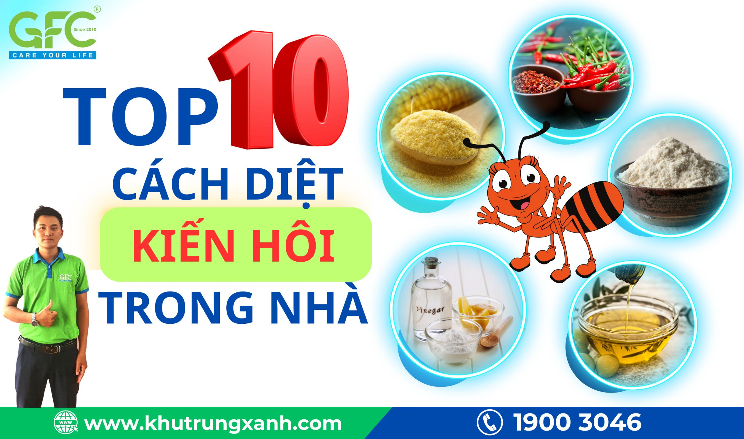 4. Ngăn Ngừa Kiến Hôi Tái Xuất Hiện Trong Nhà