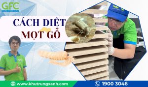 Mọt gỗ và cách diệt mọt gỗ đơn giản và hiệu quả nhất