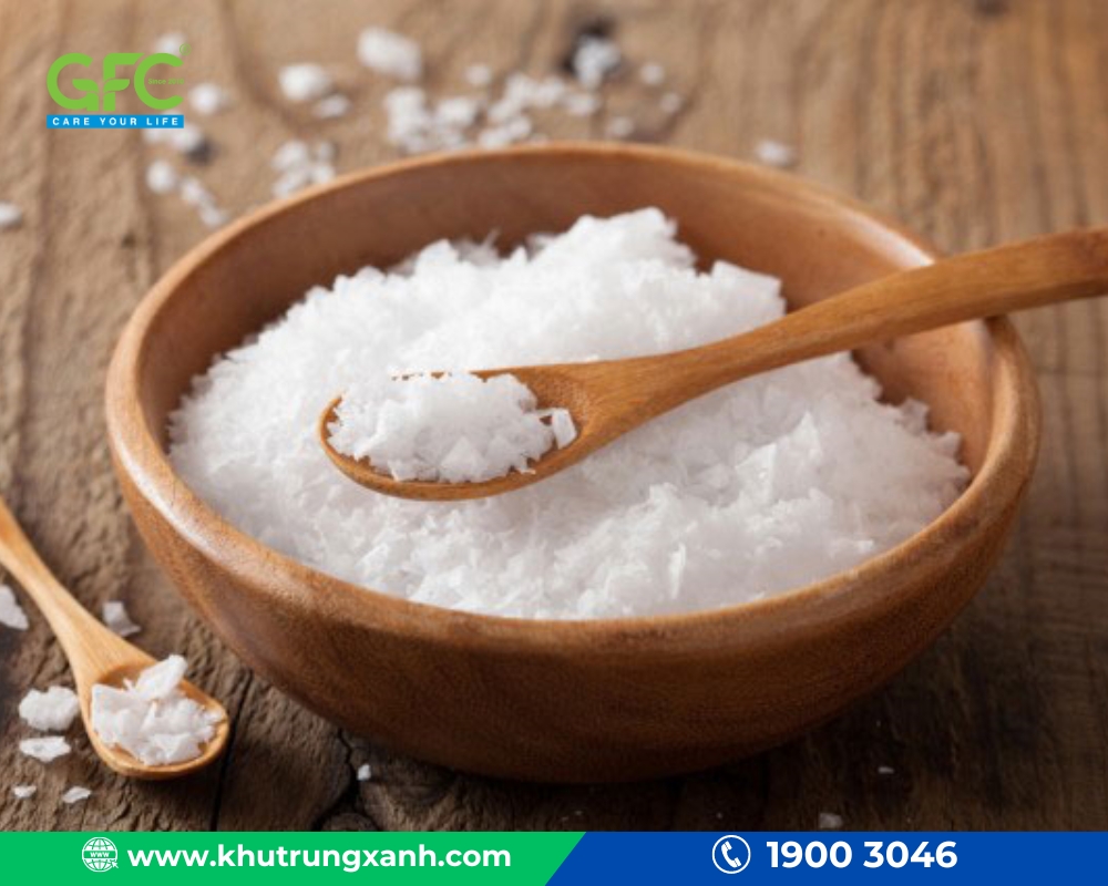 cách đuổi kiến trong phòng ngủ