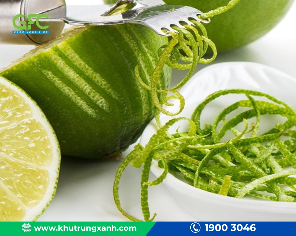 cách đuổi kiến trong phòng ngủ