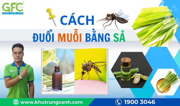 11 cách đuổi muỗi bằng sả đơn giản, hiệu quả tại nhà