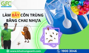 Cách làm bẫy côn trùng bằng chai nhựa đơn giản và hiệu quả