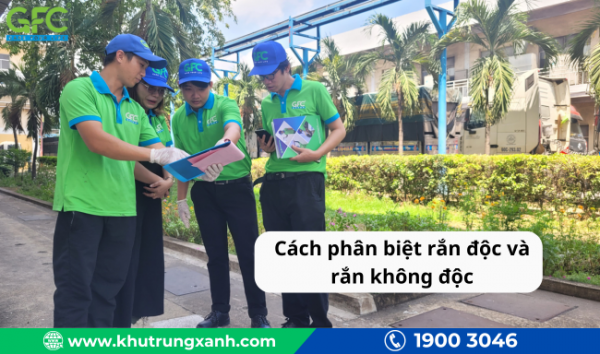 Cách phân biệt rắn độc và rắn không độc