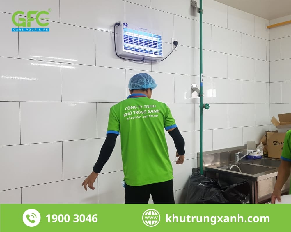 diệt côn trùng tại khánh hòa