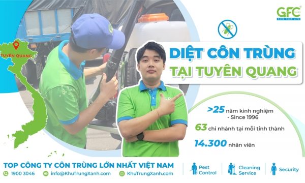 Công ty dịch vụ diệt côn trùng tại Tuyên Quang