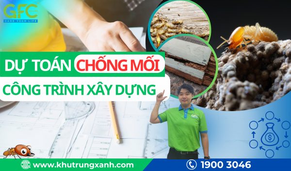 Dự toán chống mối công trình xây dựng