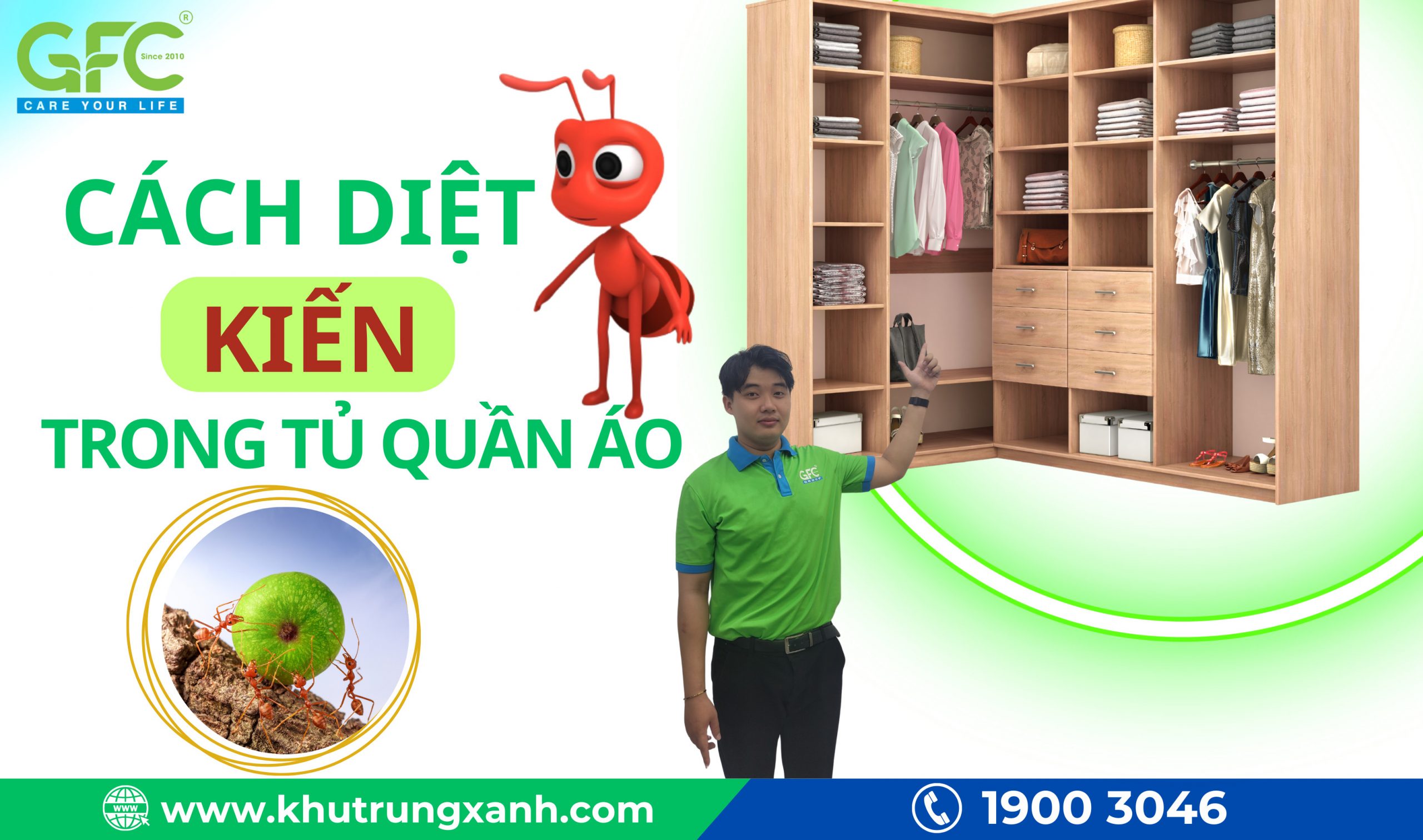 Cách Diệt Kiến Trong Tủ Quần Áo: Phương Pháp Đơn Giản và Hiệu Quả