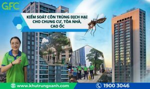 Kiểm soát côn trùng dịch hại cho chung cư, tòa nhà, cao ốc