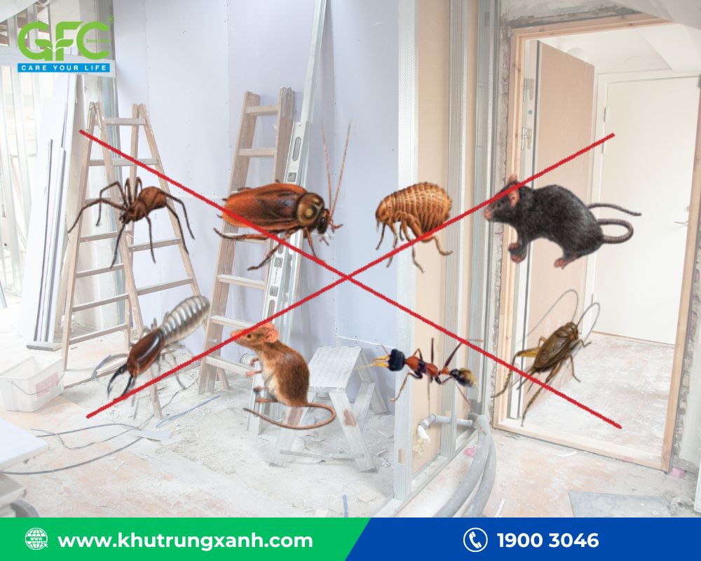Kiểm soát côn trùng dịch hại ngành công trình