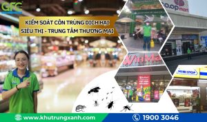 Kiểm soát côn trùng dịch hại cho Siêu thị – Trung tâm thương mại