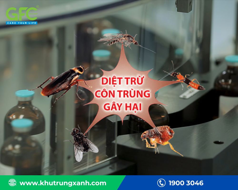 Kiểm soát côn trùng nhà máy sản xuất dược phẩm