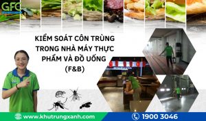 Kiểm soát côn trùng trong nhà máy Thực phẩm và đồ uống (F&B)