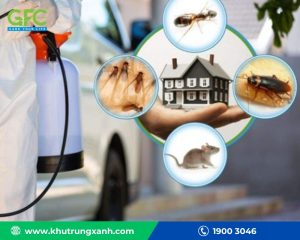 Kiểm soát côn trùng trong văn phòng, tòa nhà