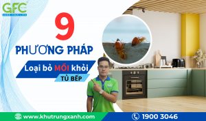 9 phương pháp loại bỏ mối khỏi tủ bếp đơn giản, hiệu quả