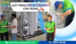 Quy trình diệt và kiểm soát côn trùng