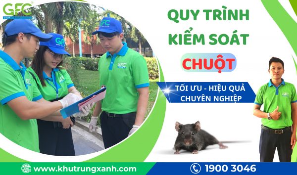 Quy trình kiểm soát chuột, diệt chuột chuyên nghiệp