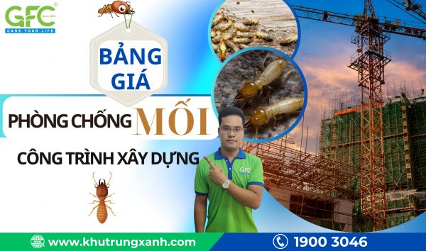 Bảng giá phòng chống mối công trình xây dựng