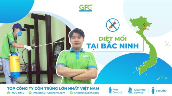 6 địa chỉ diệt mối tận gốc tại Bắc Ninh uy tín nhất 2025