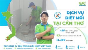5 địa chỉ diệt mối tận gốc tại Cần Thơ uy tín nhất