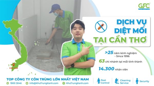 5 địa chỉ diệt mối tận gốc tại Cần Thơ uy tín nhất