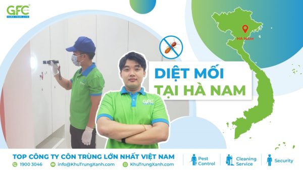 5 địa chỉ diệt mối tận gốc tại Hà Nam uy tín nhất