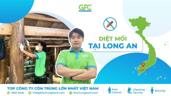 5 địa chỉ diệt mối tận gốc tại Long An uy tín nhất