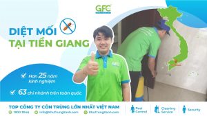 5 địa chỉ diệt mối tận gốc tại Tiền Giang uy tín nhất