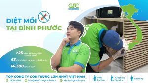 5 địa chỉ diệt mối tận gốc tại Bình Phước uy tín nhất