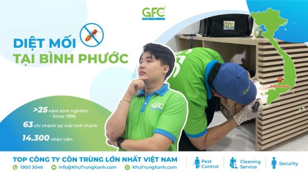 5 địa chỉ diệt mối tận gốc tại Bình Phước uy tín nhất
