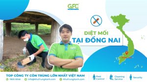 5 địa chỉ diệt mối tận gốc tại Đồng Nai uy tín nhất 2025