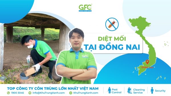 5 địa chỉ diệt mối tận gốc tại Đồng Nai uy tín nhất 2025