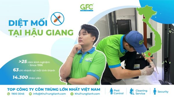 5 địa chỉ diệt mối tận gốc tại Hậu Giang uy tín nhất