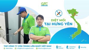 4 đơn vị diệt mối tại Hưng Yên, diệt sạch tận gốc 100%
