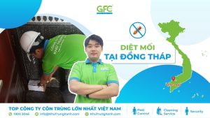 5 địa chỉ diệt mối tận gốc tại Đồng Tháp uy tín nhất