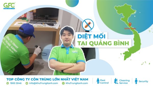 5 địa chỉ diệt mối tận gốc tại Quảng Bình uy tín nhất