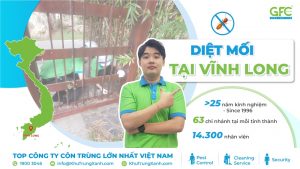 5 địa chỉ diệt mối tận gốc tại Vĩnh Long uy tín nhất