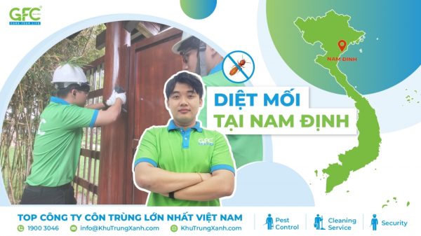 5 địa chỉ diệt mối tận gốc tại Nam Định nhất 2025